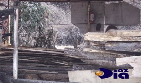 ETSN ŞEFİ MEŞƏ QATİLLƏRİNƏ ŞƏRAİT YARADIR ETSN ŞEFİ MEŞƏ QATİLLƏRİNƏ ŞƏRAİT YARADIR
