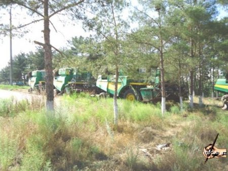 NEFTÇALADA DƏMİR YEYƏNLƏR PEYDA OLUB NEFTÇALADA DƏMİR YEYƏNLƏR PEYDA OLUB