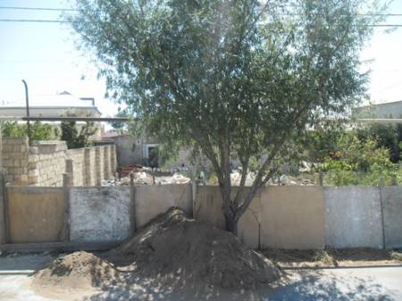 ARDNŞ ŞEFİNİN ADAMINA QARŞI RÜŞVƏT İTTİHAMI ARDNŞ ŞEFİNİN ADAMINA QARŞI RÜŞVƏT İTTİHAMI
