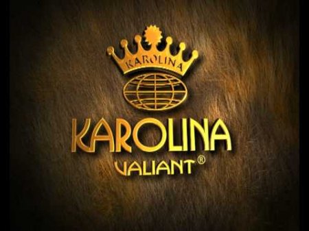 «KAROLİNA VALİANT» BARƏDƏ ŞOK FAKTLAR «KAROLİNA VALİANT» BARƏDƏ ŞOK FAKTLAR