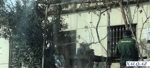 Qubadlının icra başçısı əməlli-başlı biznesmen imiş... Qubadlının icra başçısı əməlli-başlı biznesmen imiş...