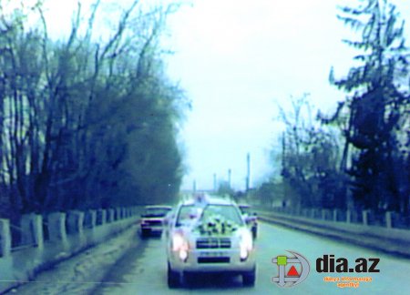 Ucar rayonunda yaşıllıqlara kim qənim kəsilib – Rayon sakini həyəcan təbili çalır Ucar rayonunda yaşıllıqlara kim qənim kəsilib – Rayon sakini həyəcan təbili çalır
