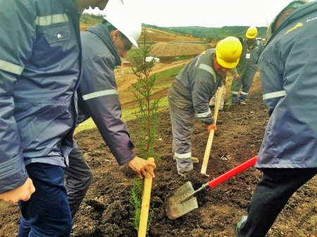 “AzerGold” QSC 10 may Gül Bayramı münasibəti ilə 10 hektar ərazini yaşıllaşdırdı “AzerGold” QSC 10 may Gül Bayramı münasibəti ilə 10 hektar ərazini yaşıllaşdırdı