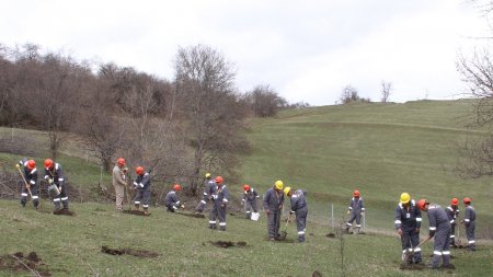 “AzerGold” QSC 10 may Gül Bayramı münasibəti ilə 10 hektar ərazini yaşıllaşdırdı “AzerGold” QSC 10 may Gül Bayramı münasibəti ilə 10 hektar ərazini yaşıllaşdırdı