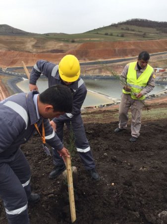 “AzerGold” QSC 10 may Gül Bayramı münasibəti ilə 10 hektar ərazini yaşıllaşdırdı “AzerGold” QSC 10 may Gül Bayramı münasibəti ilə 10 hektar ərazini yaşıllaşdırdı