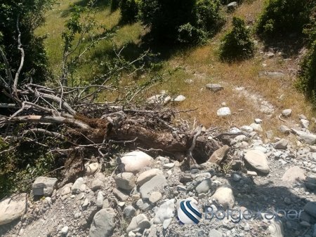 Tovuzda acınacaqlı mənzərə... Tovuzda acınacaqlı mənzərə...