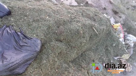 Sumqayıtın bu halı ürək ağrıdır... Sumqayıtın bu halı ürək ağrıdır...