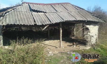 Başçının villalarının sayı-hesabı yoxdur, şəhid ailəsi isə daxmada yaşayır... Başçının villalarının sayı-hesabı yoxdur, şəhid ailəsi isə daxmada yaşayır...