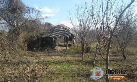 Başçının villalarının sayı-hesabı yoxdur, şəhid ailəsi isə daxmada yaşayır... Başçının villalarının sayı-hesabı yoxdur, şəhid ailəsi isə daxmada yaşayır...