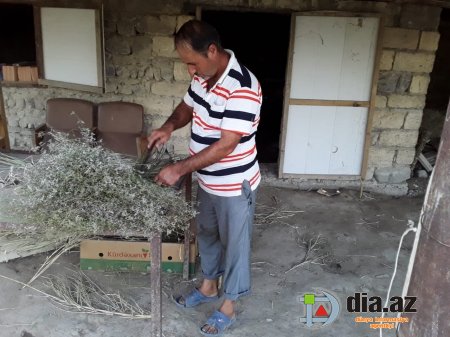 "5 uşaqla acınacaqlı həyat yaşayırıq "5 uşaqla acınacaqlı həyat yaşayırıq