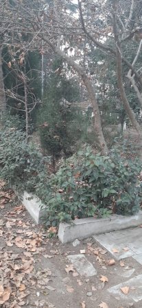 Gəncədə xaraba günə qalan Rəsulzadə parkı... Gəncədə xaraba günə qalan Rəsulzadə parkı...