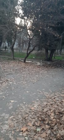 Gəncədə xaraba günə qalan Rəsulzadə parkı... Gəncədə xaraba günə qalan Rəsulzadə parkı...