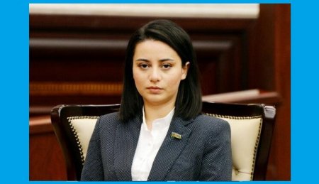 Milli Məclisin müəmmalı deputatı Milli Məclisin müəmmalı deputatı