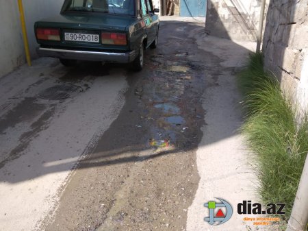 Elşad Həsənov gənc kadrdır, amma təfəkkürü "qoca"dır... Elşad Həsənov gənc kadrdır, amma təfəkkürü "qoca"dır...