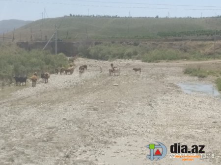 Hacıqabulda kəndlilər ÇƏTİN DURUMDA Hacıqabulda kəndlilər ÇƏTİN DURUMDA
