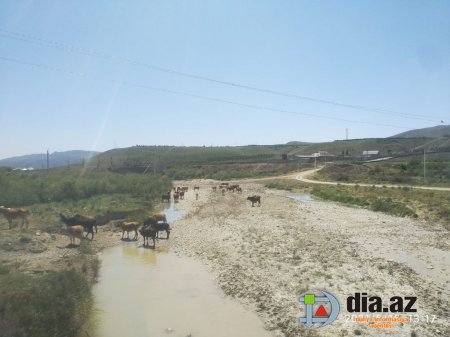 Hacıqabulda kəndlilər ÇƏTİN DURUMDA Hacıqabulda kəndlilər ÇƏTİN DURUMDA
