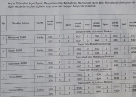 KTN-nin ÖLÜ CANLARI VƏ... KTN-nin ÖLÜ CANLARI VƏ...
