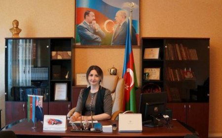 "Humanitar Kollecin direktorunu kim himayə edir?" "Humanitar Kollecin direktorunu kim himayə edir?"