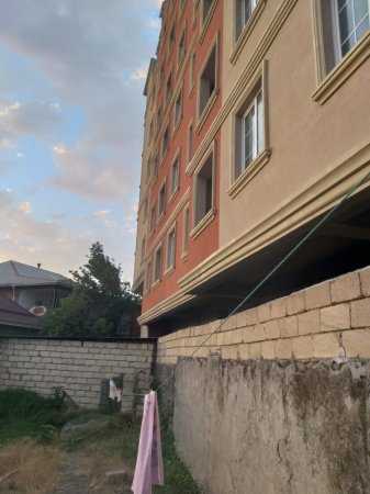 Oğlu qanunlara tüpürür... başçı da görməzlikdən gəlir... Oğlu qanunlara tüpürür... başçı da görməzlikdən gəlir...