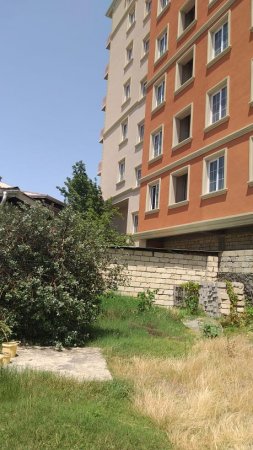 Oğlu qanunlara tüpürür... başçı da görməzlikdən gəlir... Oğlu qanunlara tüpürür... başçı da görməzlikdən gəlir...