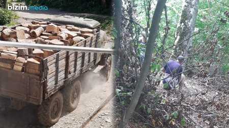 Şahdağ Milli Parkında NƏFƏSİMİZİ KƏSİRLƏR... Şahdağ Milli Parkında NƏFƏSİMİZİ KƏSİRLƏR...