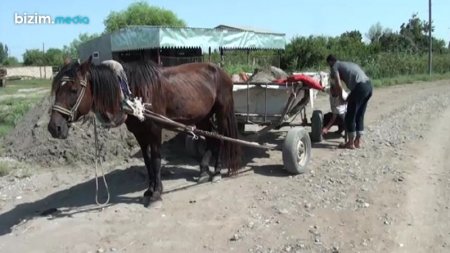Sabirabadda camaatı ZÜLMƏ SALAN KİM(lər)DİR? Sabirabadda camaatı ZÜLMƏ SALAN KİM(lər)DİR?