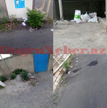 Xətainin ARIN-ARXAYIN BAŞÇISI... Xətainin ARIN-ARXAYIN BAŞÇISI...