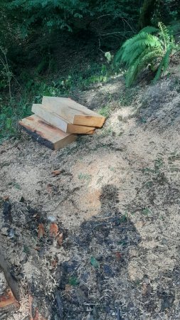 Leriki rəsmən səhralaşdırırlar... Leriki rəsmən səhralaşdırırlar...