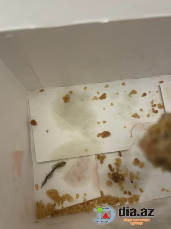 Bakıda KFC-də İYRƏNC XİDMƏT: Bişmiş toyuğun tükləri və... Bakıda KFC-də İYRƏNC XİDMƏT: Bişmiş toyuğun tükləri və...