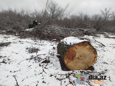 Muxtar Babayev rəsmən bu DÖVLƏTİN QƏSDİNƏ DURUB Muxtar Babayev rəsmən bu DÖVLƏTİN QƏSDİNƏ DURUB