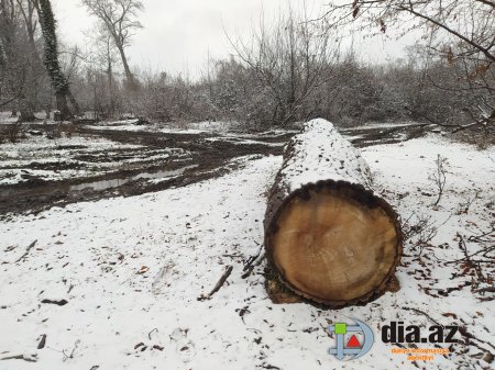 Muxtar Babayev rəsmən bu DÖVLƏTİN QƏSDİNƏ DURUB Muxtar Babayev rəsmən bu DÖVLƏTİN QƏSDİNƏ DURUB