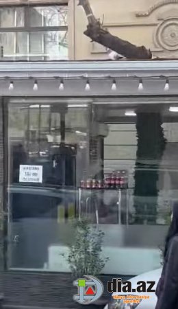 Ekologiya nazirliyi Bakının mərkəzində bu vandallığı GÖRMÜRMÜ? Ekologiya nazirliyi Bakının mərkəzində bu vandallığı GÖRMÜRMÜ?