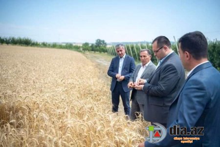 Məcnun müəllimin KOLXOZYANA JESTİ Məcnun müəllimin KOLXOZYANA JESTİ