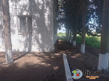 Sabirabadın kənd klubu NİYƏ XARABA QALIB? Sabirabadın kənd klubu NİYƏ XARABA QALIB?