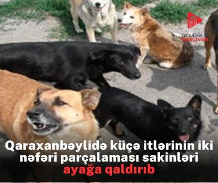 Naxçıvanda Qaraxanbəyli kəndinin QARA GÜNLƏRİ... Naxçıvanda Qaraxanbəyli kəndinin QARA GÜNLƏRİ...