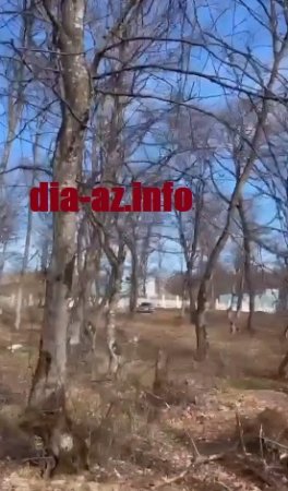 11 hektarlıq meşə ərazisi QIRĞINA VERİLDİ... 11 hektarlıq meşə ərazisi QIRĞINA VERİLDİ...