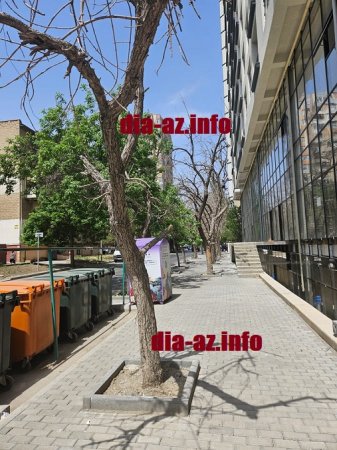 ETSN Nərimanovun rəhbərliyinə SÖZ KEÇİRƏ BİLMİR? ETSN Nərimanovun rəhbərliyinə SÖZ KEÇİRƏ BİLMİR?