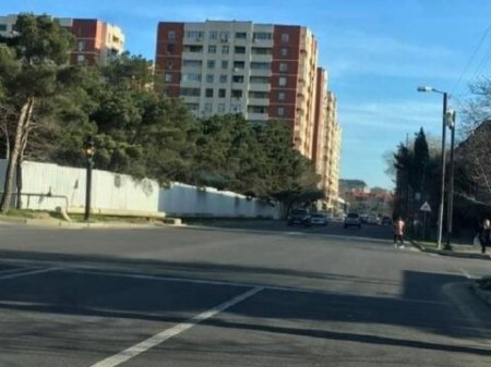 Leyla Əliyeva yaşıllıq salır, Nizami rayon başçısı Cəbrayılov isə... Leyla Əliyeva yaşıllıq salır, Nizami rayon başçısı Cəbrayılov isə...