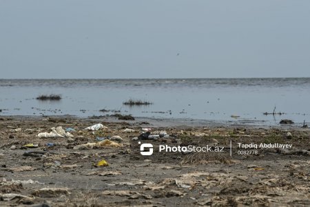 Bakının ÜZQARASI: Xəzər dənizinə bundan artıq pisliyi kimsə etmir... Bakının ÜZQARASI: Xəzər dənizinə bundan artıq pisliyi kimsə etmir...