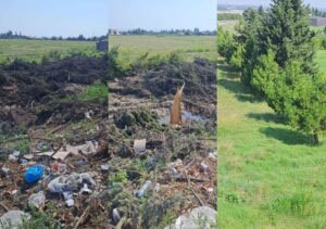 Şəmkir Regional Ekologiya rəis əvəzi Elşən Şirinov yaşıllıqları məhv edir Şəmkir Regional Ekologiya rəis əvəzi Elşən Şirinov yaşıllıqları məhv edir