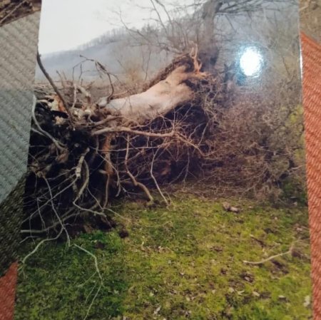 Nazirlik `Asfalt Raqib`lə bacarmır, yoxsa şərikdir? Nazirlik `Asfalt Raqib`lə bacarmır, yoxsa şərikdir?
