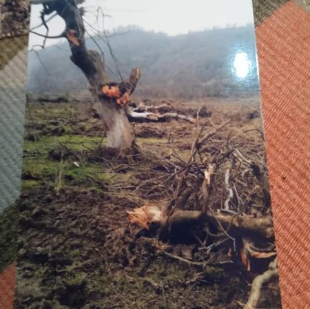 Nazirlik `Asfalt Raqib`lə bacarmır, yoxsa şərikdir? Nazirlik `Asfalt Raqib`lə bacarmır, yoxsa şərikdir?