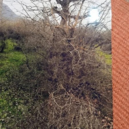 Nazirlik `Asfalt Raqib`lə bacarmır, yoxsa şərikdir? Nazirlik `Asfalt Raqib`lə bacarmır, yoxsa şərikdir?