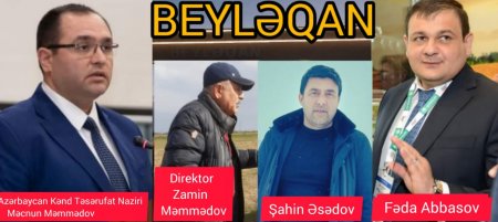 Aran Regional idarəsi RƏSMƏN BAZARDIR... Aran Regional idarəsi RƏSMƏN BAZARDIR...
